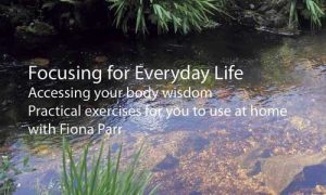 Focusing for Every Day Life CD