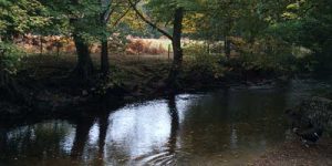 Slowing down