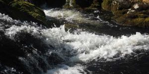 Rushing river