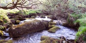Moorland river