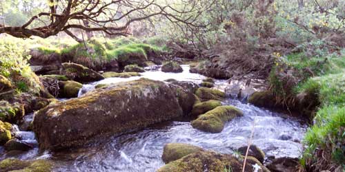 Inner conflict – Part 2