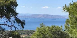 Aegina